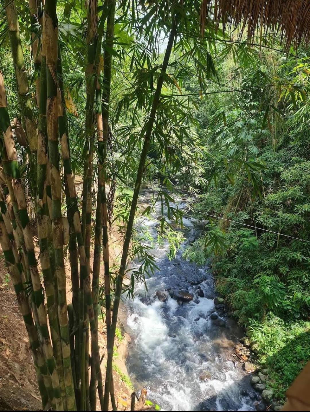 The Osing Bamboo Resort - A Liberta Collection Banyuwangi  Bagian luar foto